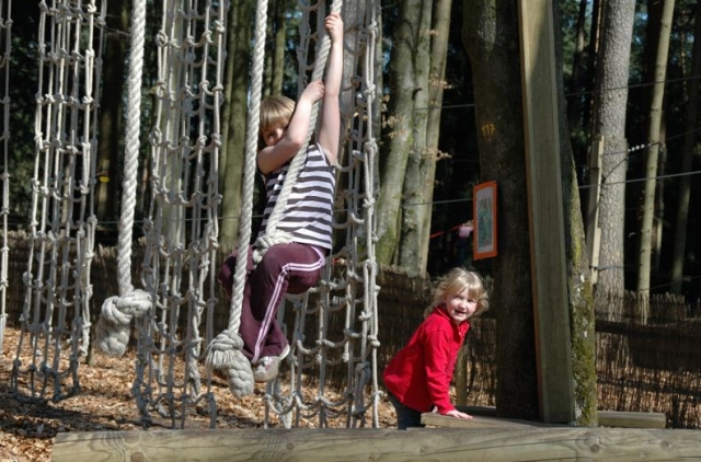  Para adultos y adultos pequeños 